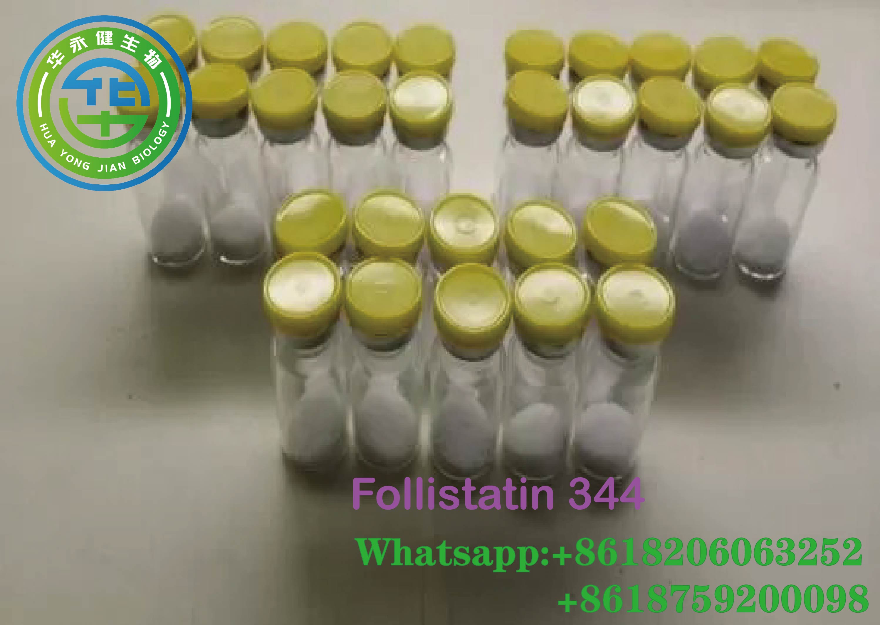 Follistatin 344 15