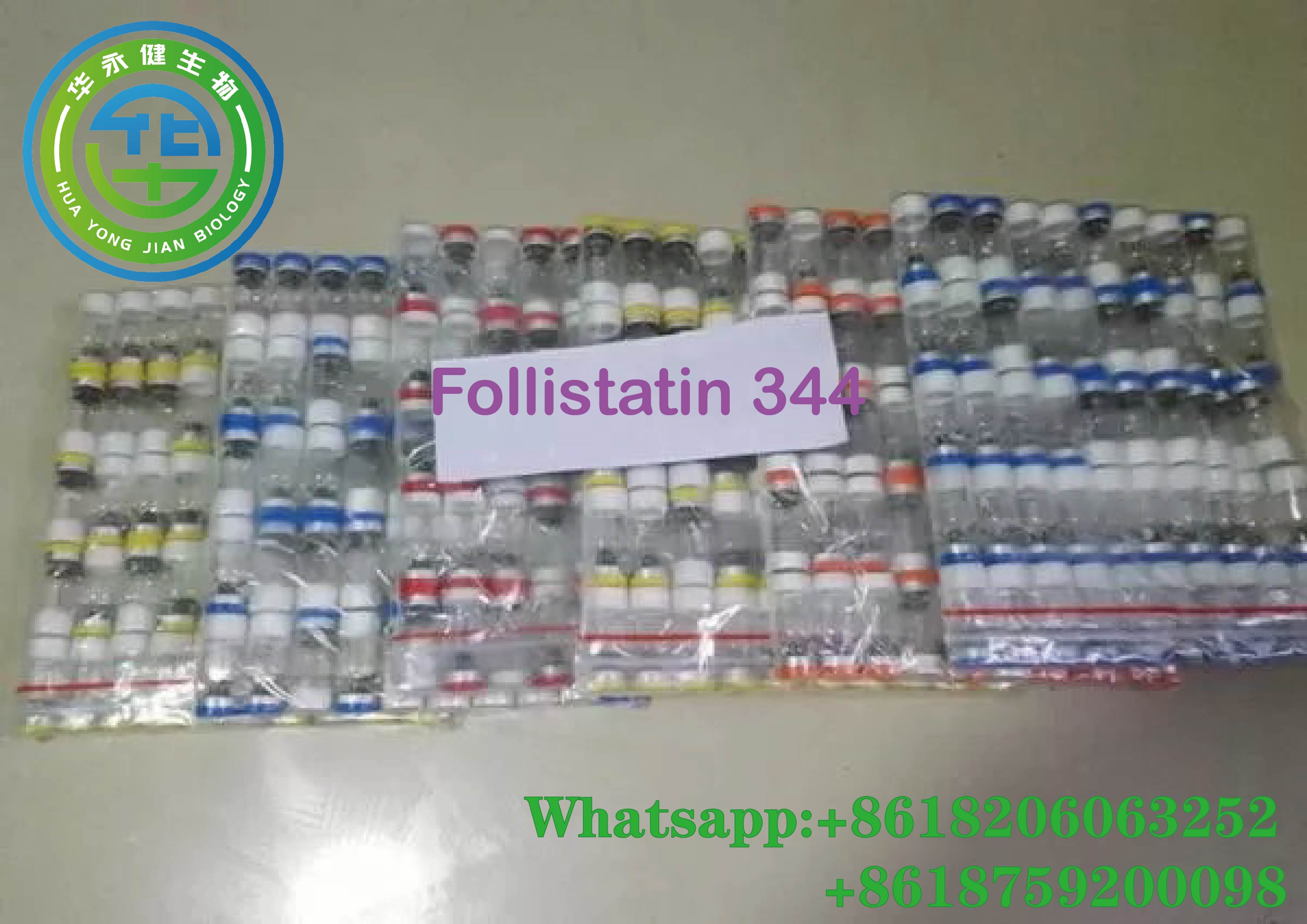 Follistatin 344 16