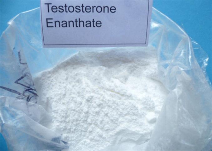 Testosterone Enanthate4