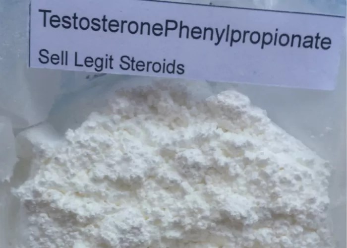 pl22114322-high_quality_testosterone_phenylpropionate_powder_100_pass_through_the_customs1