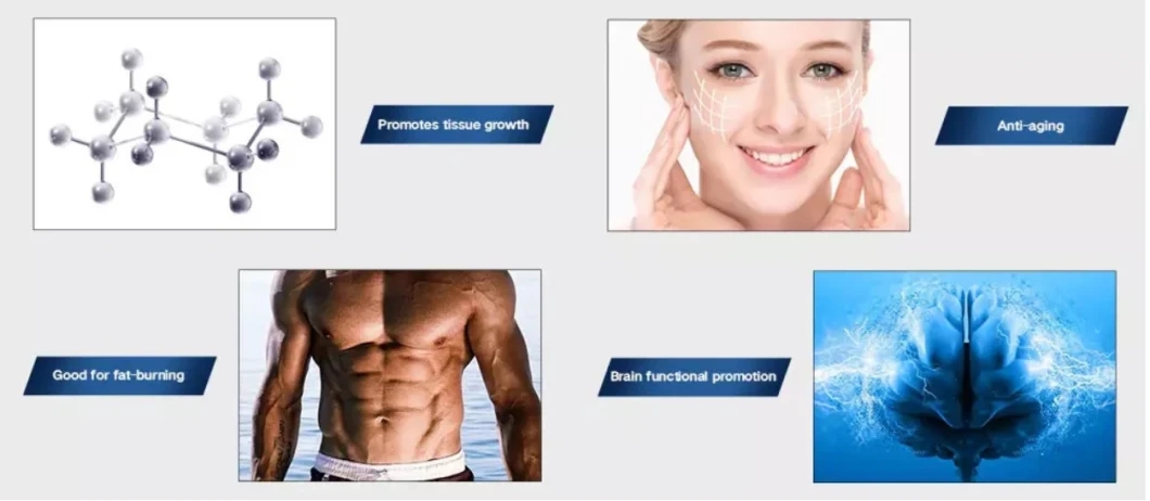 Cosmetic-Peptide-High-Quality-with-Factory-Price-Human-Growth-Peptides-Steroids-Bodybuilding-Muscle-Growth.webp (1)