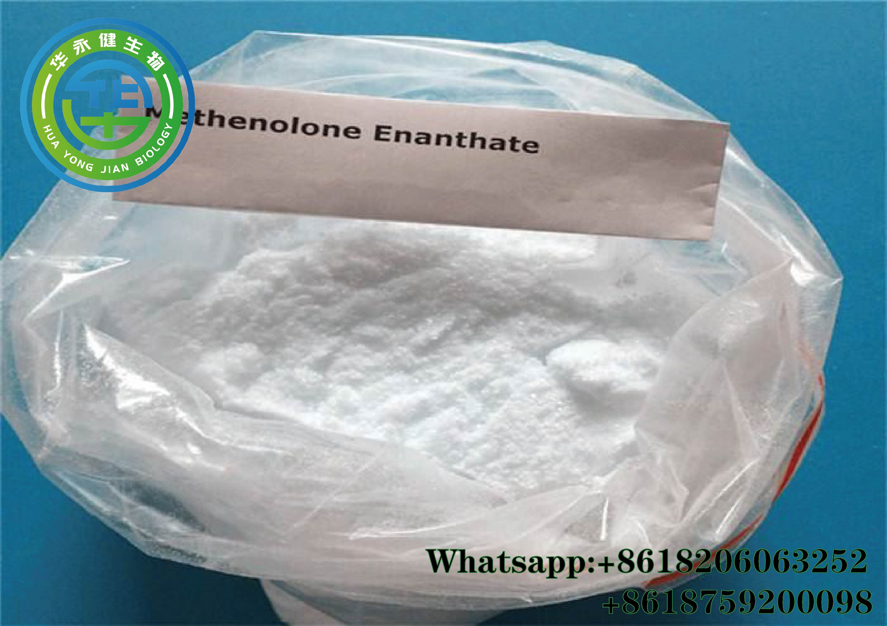 Methenolone Enanthate (Primobolan E )13