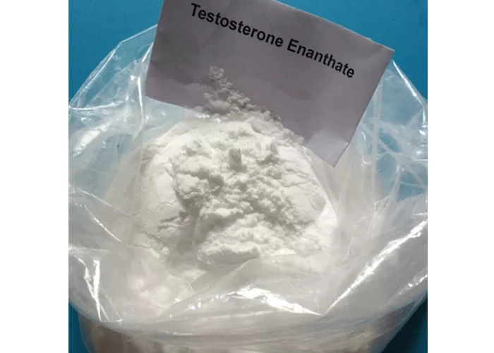 Testosterone Enanthate5