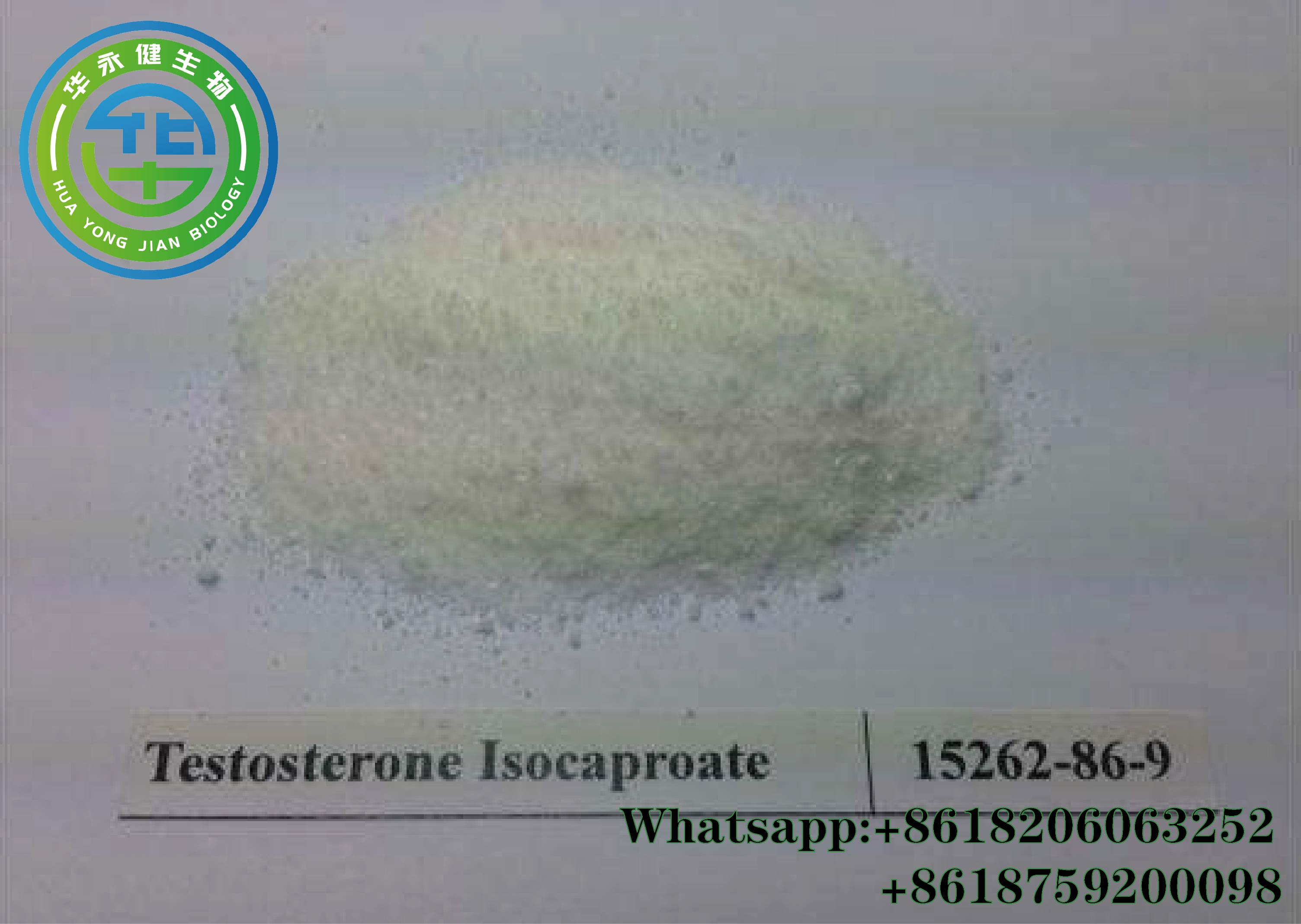 Testosterone Isocaproate2