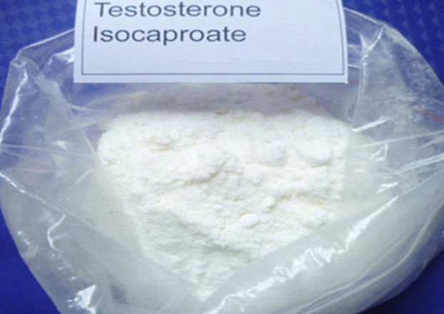 Testosterone Isocaproate7