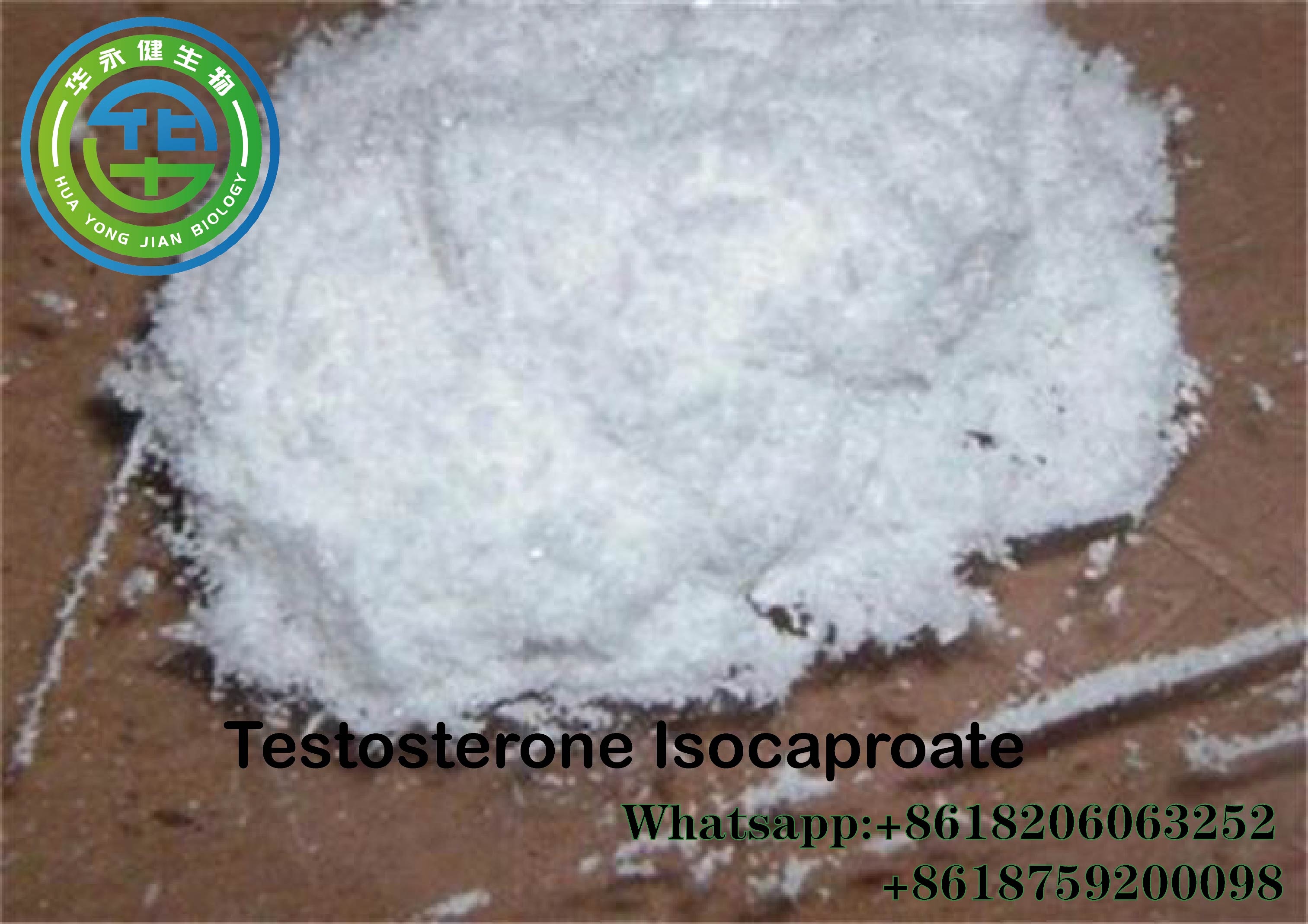 Testosterone Isocaproate8