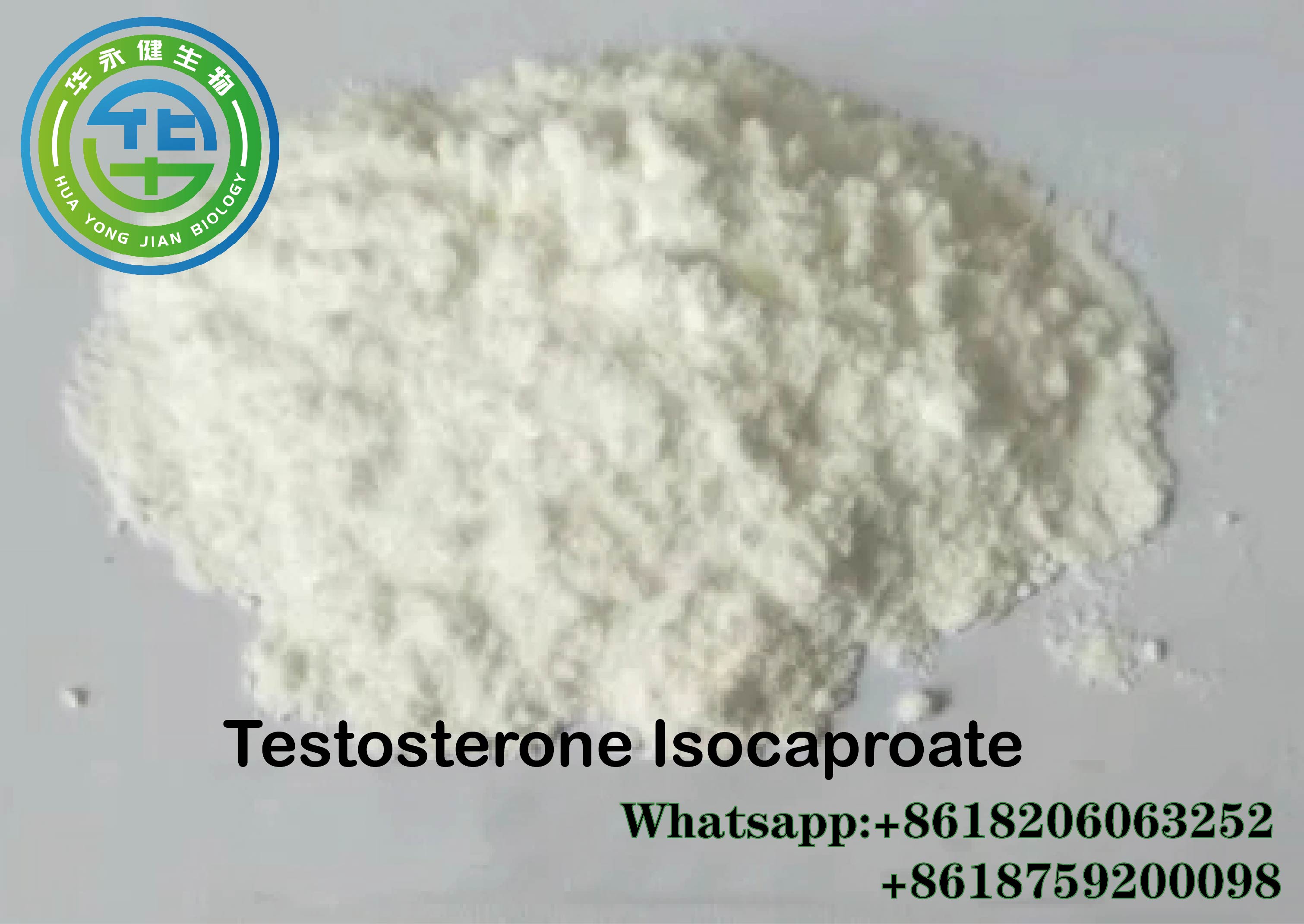 Testosterone Isocaproate9