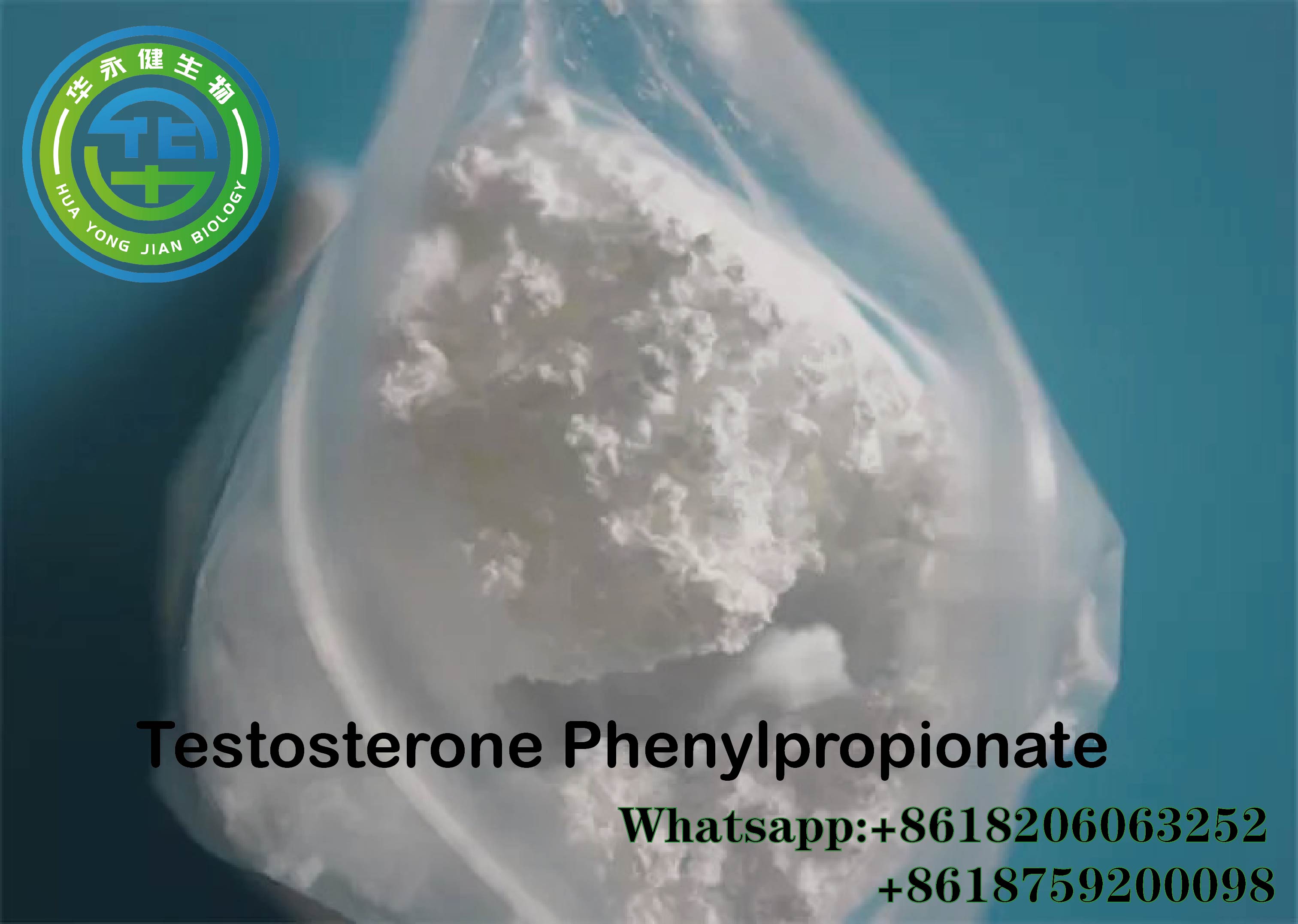 Testosterone Phenylpropionate19