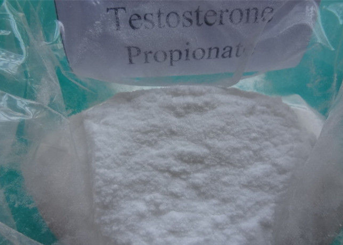 Testosterone Propionate12