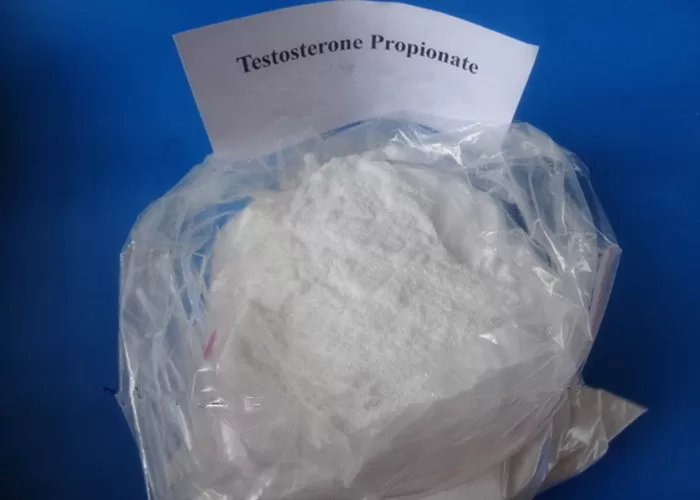 Testosterone Propionate8