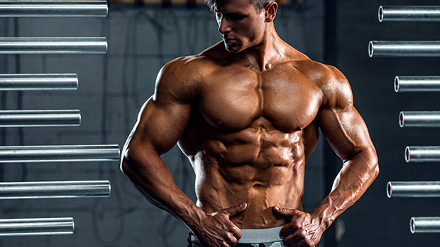 The-40-Laws-of-Muscle-Strength