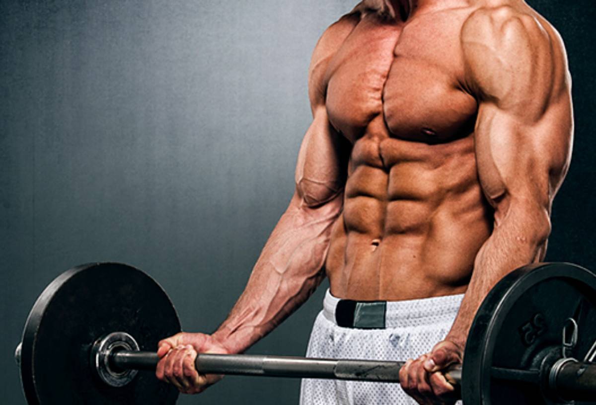muscle-building-supplements