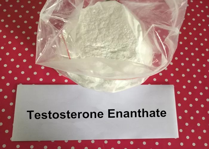 pl13771765-raw_steroids_powder_weight_loss_testosterone_enanthate_increase_muscle_mass_250mg1