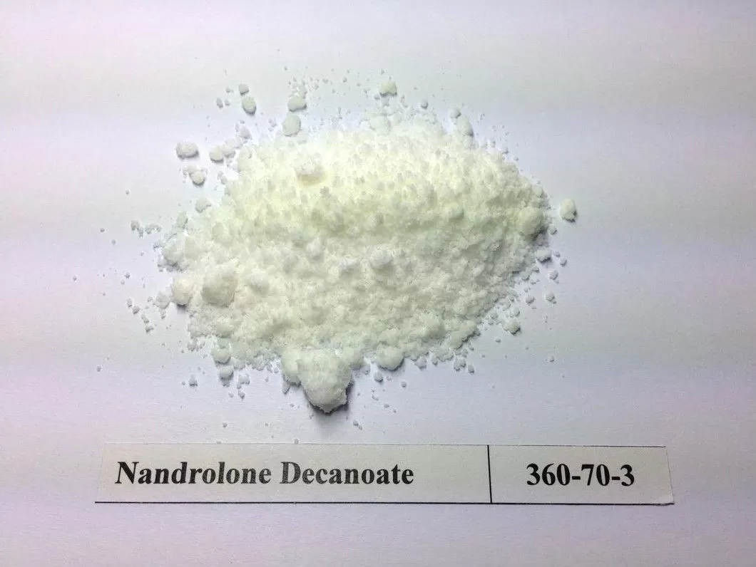 pl3886181-usp_standard_body_building_injection_steroid_powder_cas_360_70_3_for_oral_medicine_nandrolone_decanoate